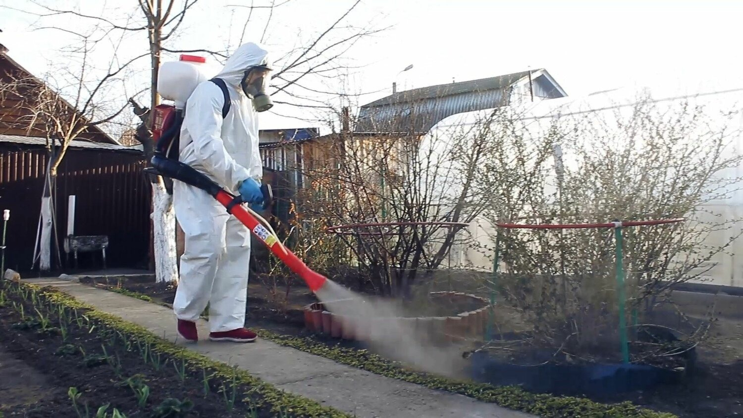 ФОТО Уничтожение муравьёв в селе Московской области Черкизово
