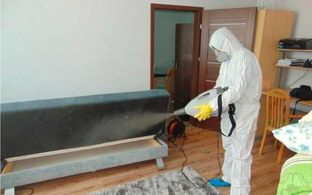 ФОТО Уничтожение блох в селе Московской области Черкизово