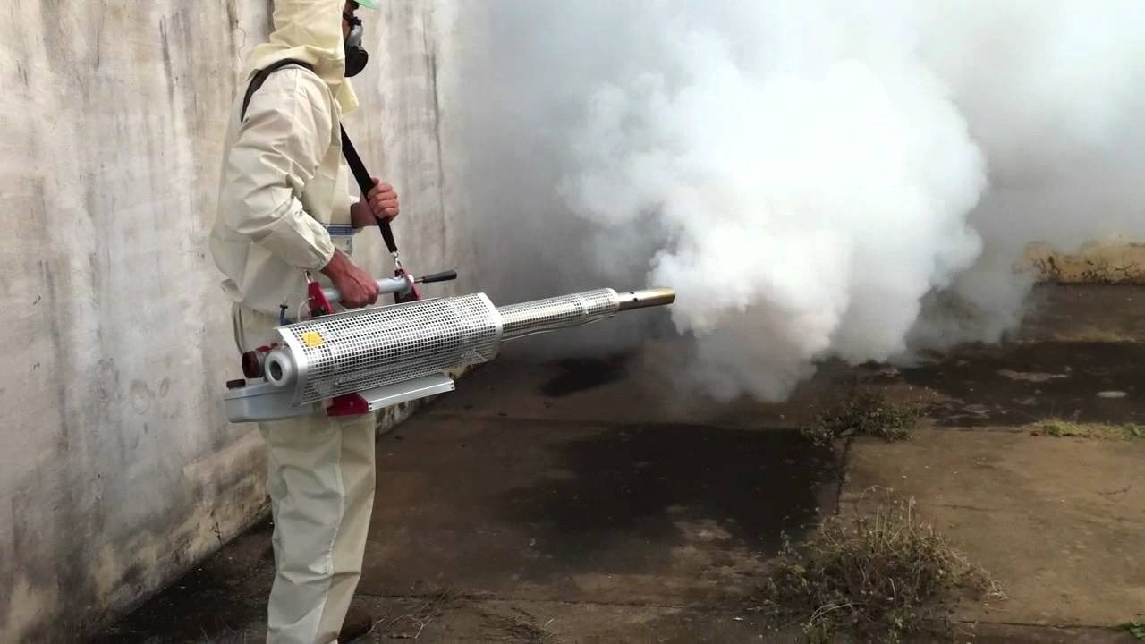 ФОТО Уничтожение мух в селе Московской области Черкизово