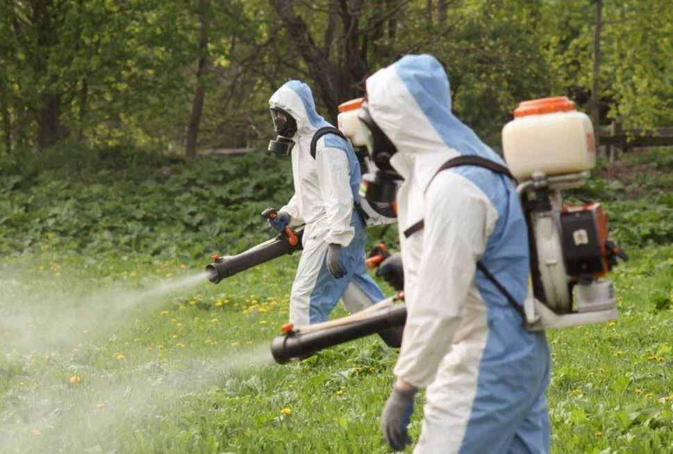 ФОТО Что такое дезинсекция в селе Московской области Черкизово? | подробно