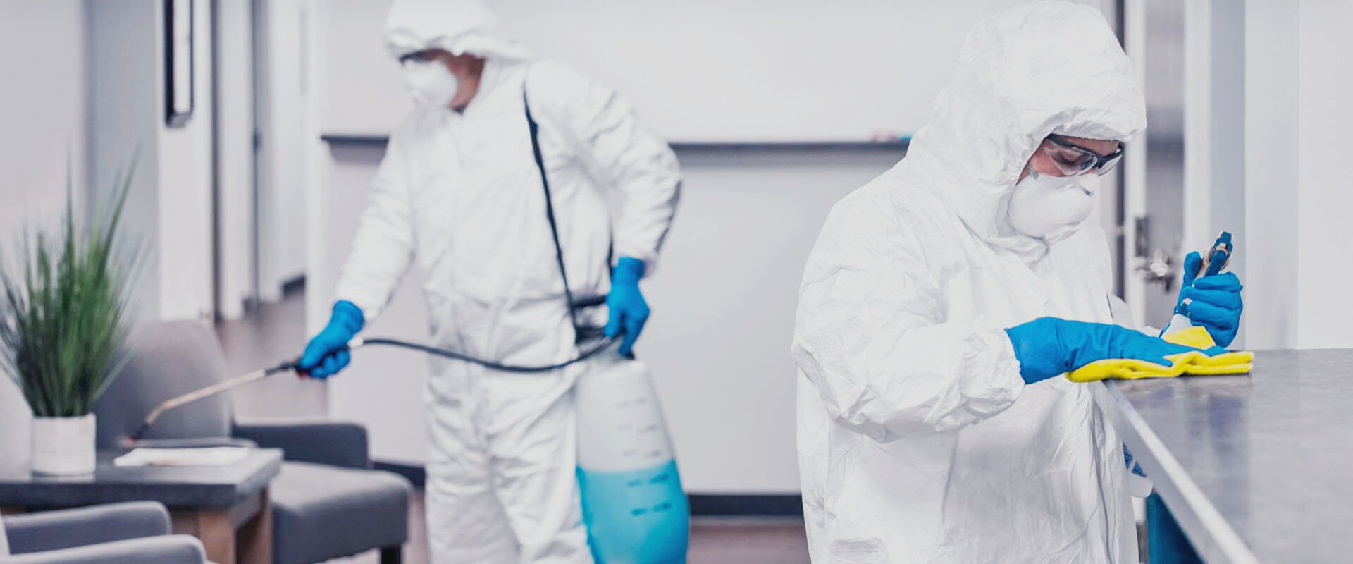 ФОТО В чем разница между дезинфекцией и дезинсекцией в селе Московской области Черкизово? | подробно