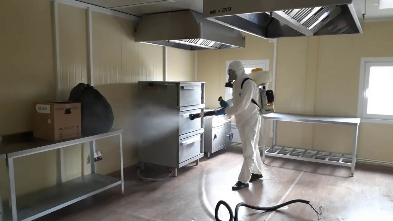 ФОТО Можно ли провести дезинсекцию самостоятельно и какие существуют риски в селе Московской области Черкизово? | подробно