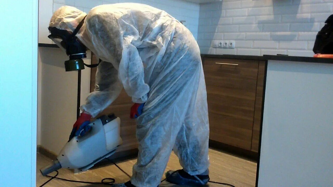 ФОТО Как подготовить домашних животных к обработке от насекомых в селе Московской области Черкизово? | подробно