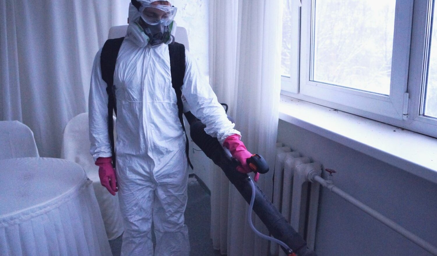 ФОТО Нужно ли выносить растения при дезинсекции в селе Московской области Черкизово? | подробно