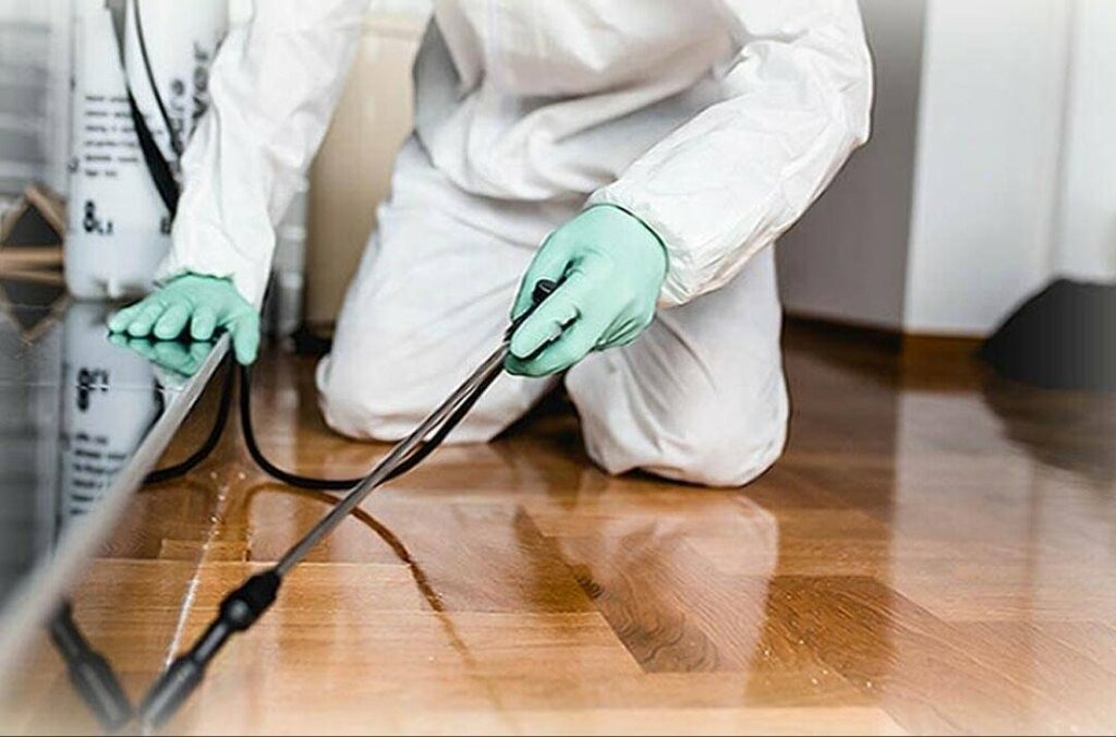 ФОТО Как подготовить вентиляцию при предстоящей дезинсекции в селе Московской области Черкизово?