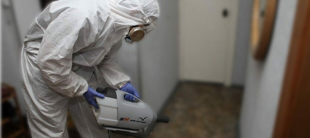 ФОТО Остаются ли следы после обработки квартиры от насекомых в селе Московской области Черкизово? | подробно