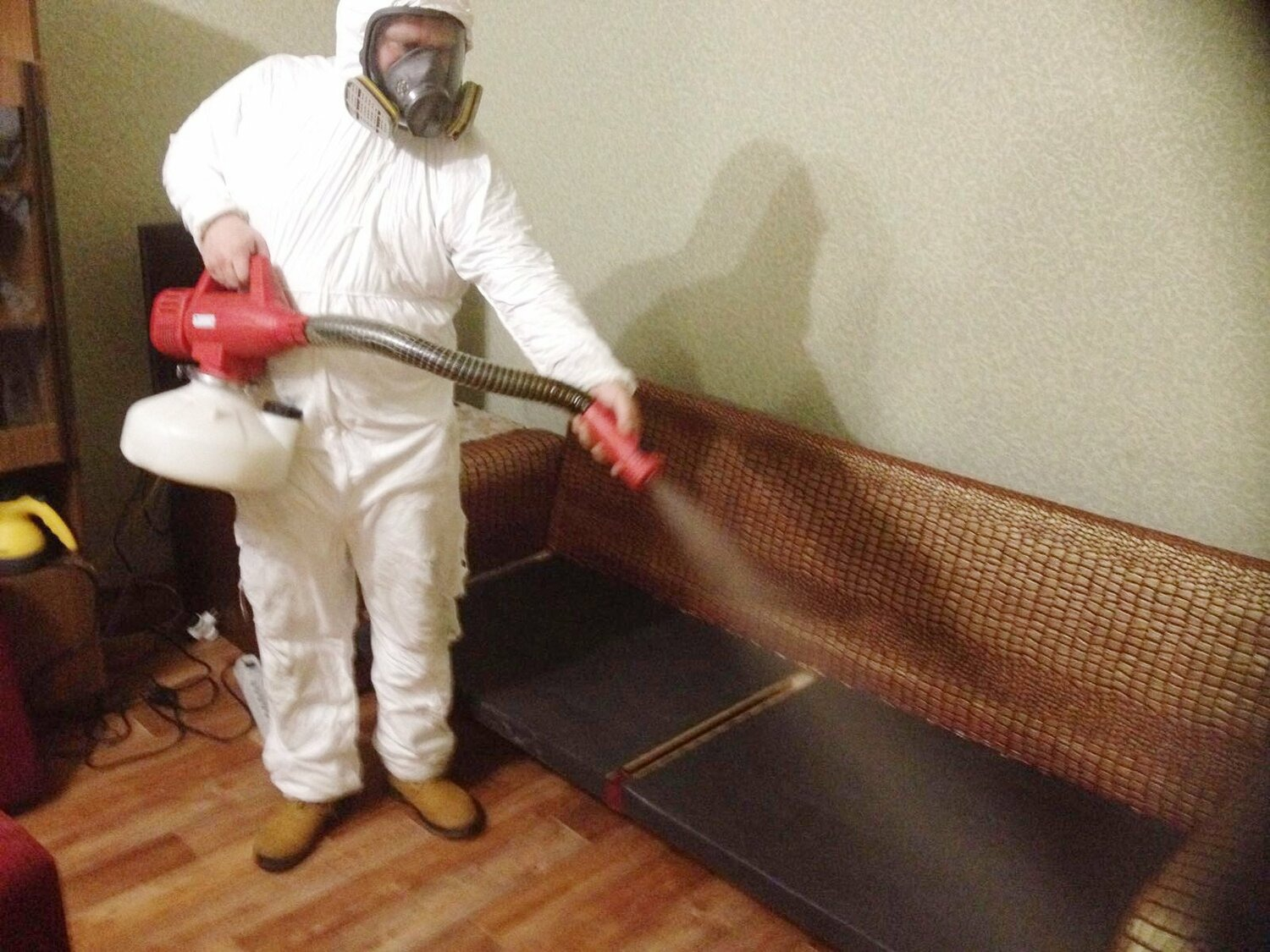 ФОТО Когда можно вернуться в помещение после дезинсекции в селе Московской области Черкизово? | подробно