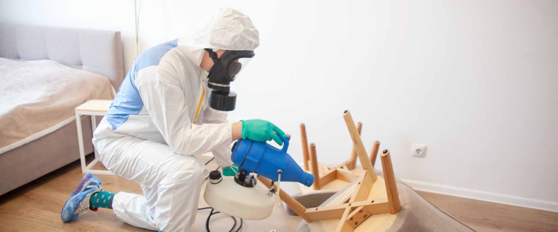 фото: Уничтожение постельных клопов с 1-го раза с гарантией за 30-60 мин. в селе Московской области Черкизово без предоплаты