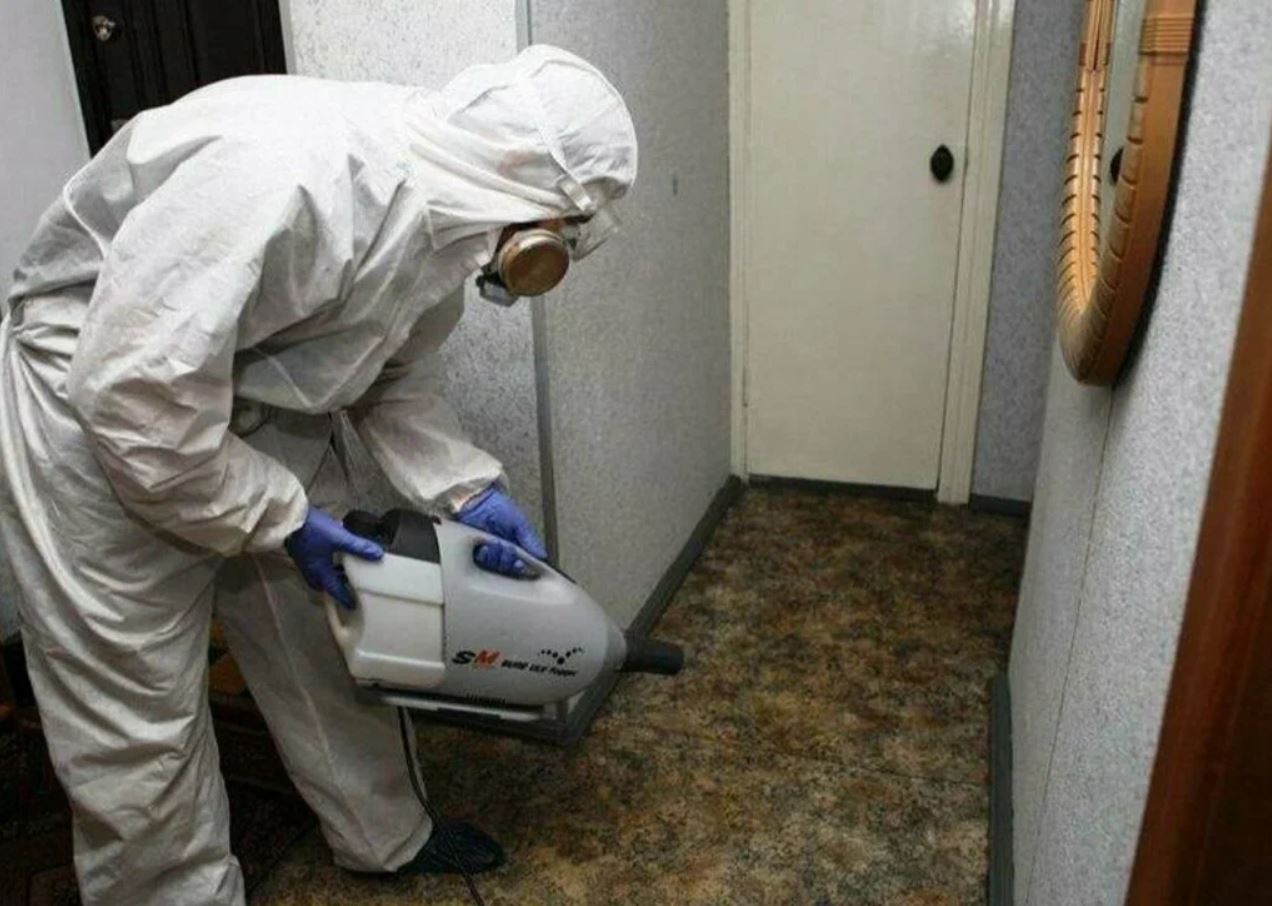 фото: Профессиональная дезинсекция в селе Московской области Черкизово: <br/>+7-909-173-42-96